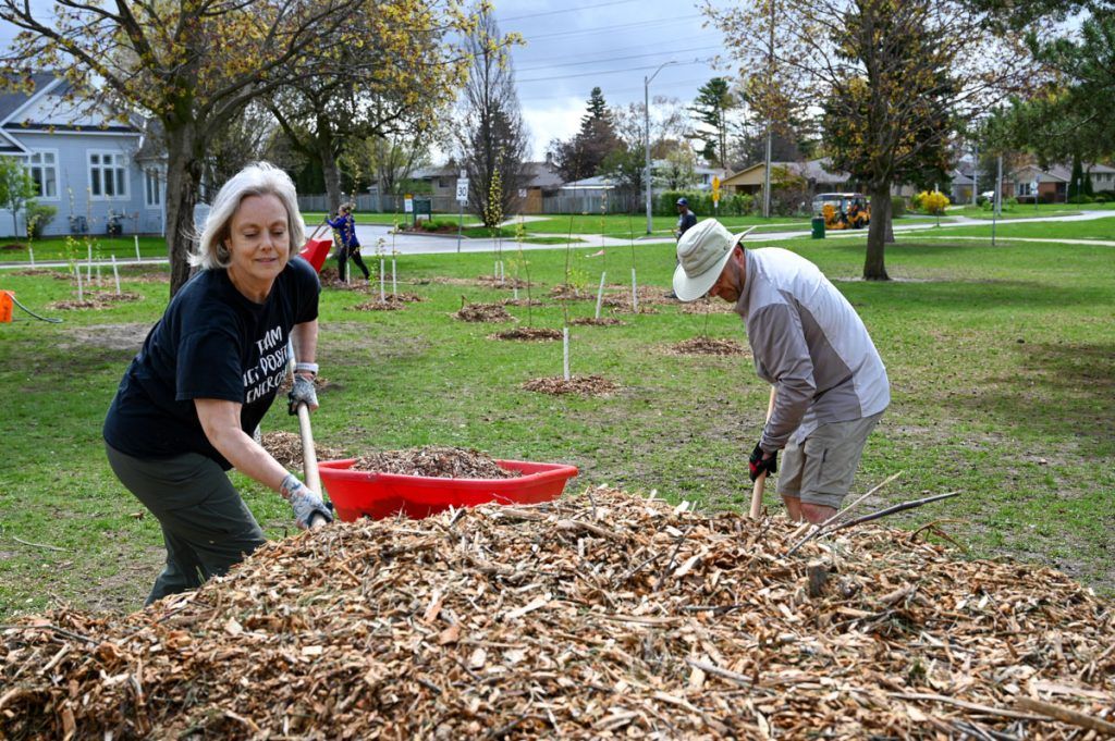 (mf) St Daniel Catholic Elementary School
